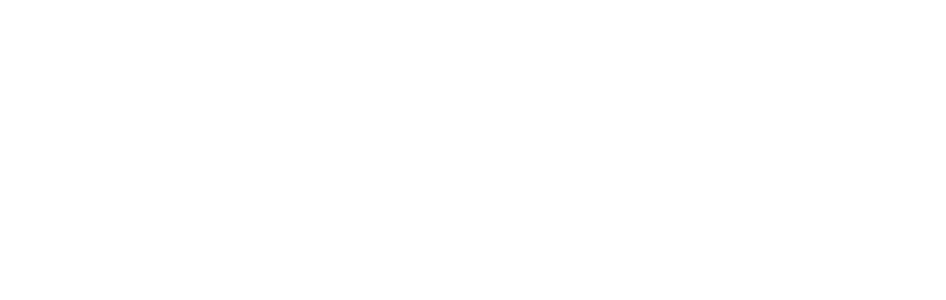 AOMAN FUTURE